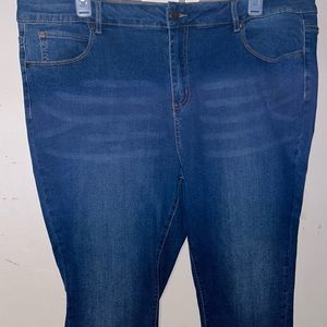 Tahari Kelly Fit Classic Skinny Jeans Plus Size 24W